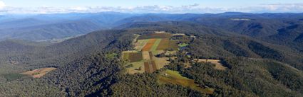 Brown Brothers Vineyard - VIC (PBH3 00 34133)